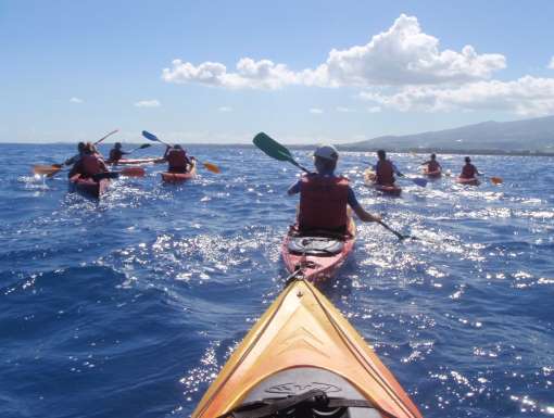 KAYAK DE MER, SAMEDI 9 NOVEMBRE DE 13H30 A 17H