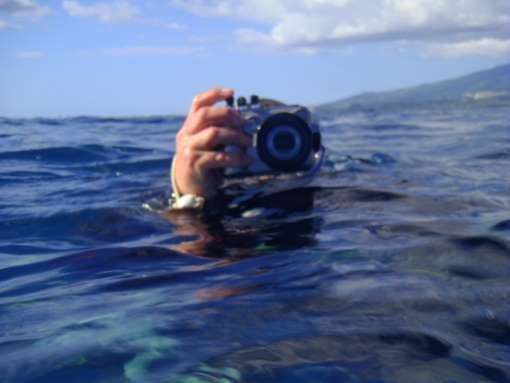 Sortie photographie sous-marine lagon – DIM 26/10 A 8h00